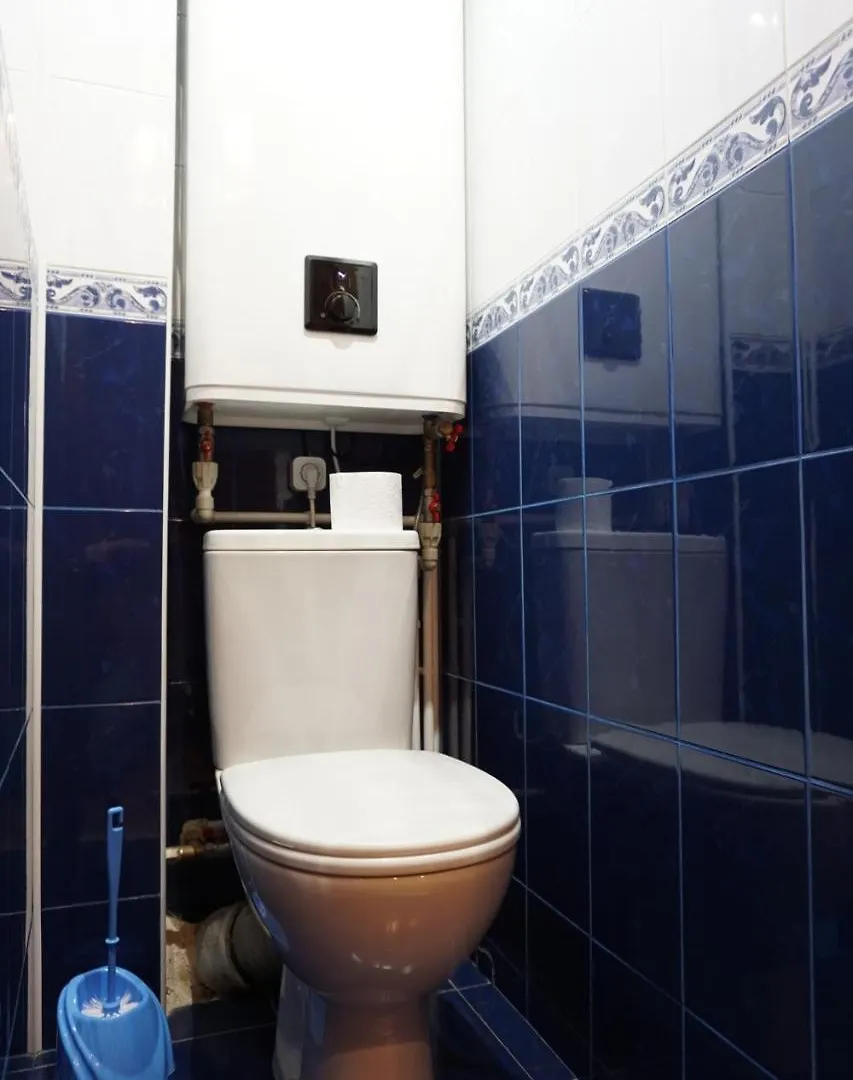Victory Park Apartment 키예프